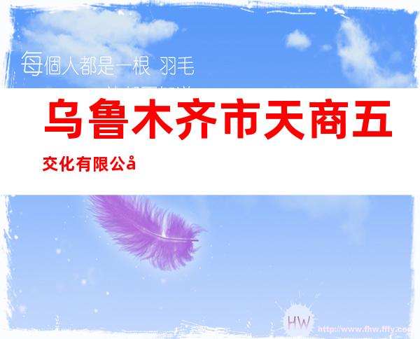乌鲁木齐市天商五交化有限公司