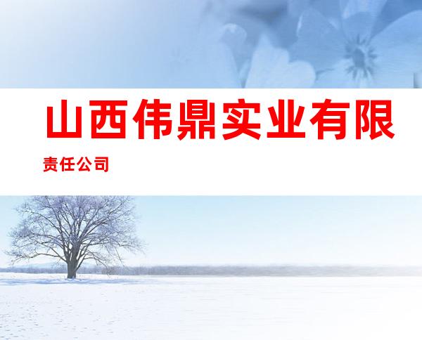 山西伟鼎实业有限责任公司